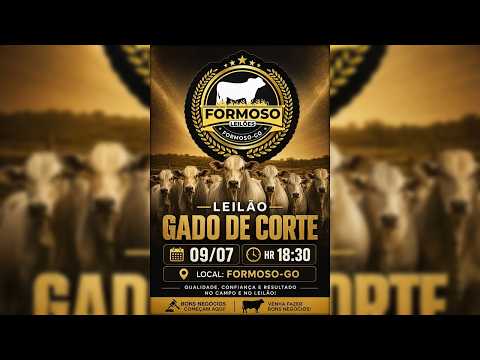 LEILÃO GADO DE CORTE FORMOSO LEILÕES - FORMOSO - GO - 09/07/2026