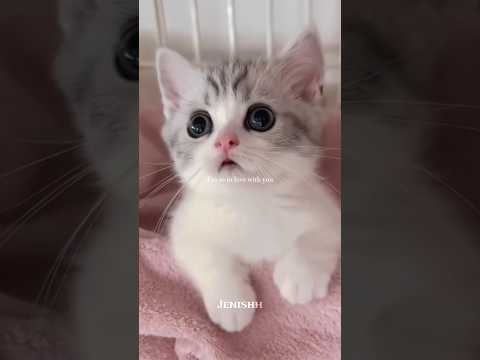 Connie Francis - Pretty Little Baby #lyrics #music