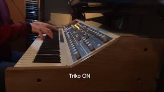 Video thumbnail for Baloran the River: Triko examples by coyotesynth