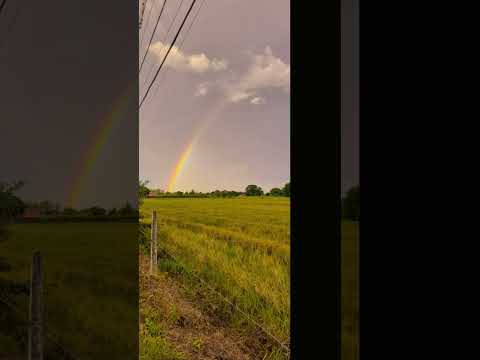Colônia do Piagui, Guaratinguetá-SP. Minha Roça Predileta. Natureza Divina e Povo Acolhedor❤️.