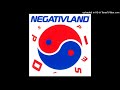Negativland - A Most Successful Formula