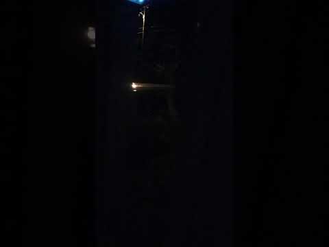 09.17.2019 - 🐒 Neighbors from Hell