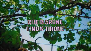 Flavia Mija - Bije Dibrone Lind N'tirone