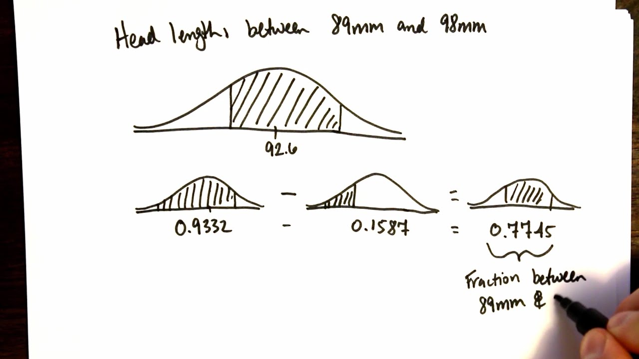 Normal Distribution (OpenIntro textbook complement)