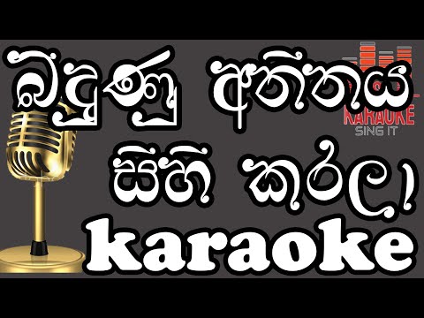 Bindunu Athithaya - බිඳුනු අතීතය සිහි කරලා - තුෂාර සුබසිංහ - Karaoke - Without Voice