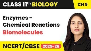 Enzymes (Chemical Reactions) - Biomolecules | Class 11 Biology Chapter 9 | CBSE 2024-25