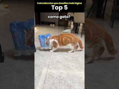 Coincidencias que desafían toda lógica – Top 5