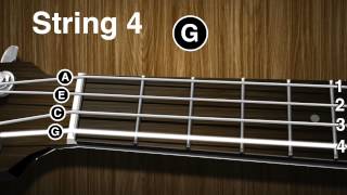 How to tune a Ukulele - Ukulele tuning video ( gCEA )