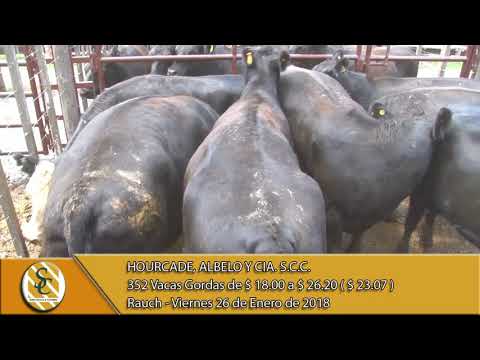 26-01-18 Venta de Gordo - Hourcade, Albelo y Cia. S.C.C. - Rauch