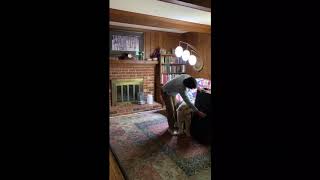 This dog is eager for a Zion’s Touch massage.