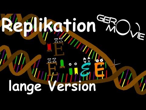 DNA Replication Biology GeroMovie (long version)