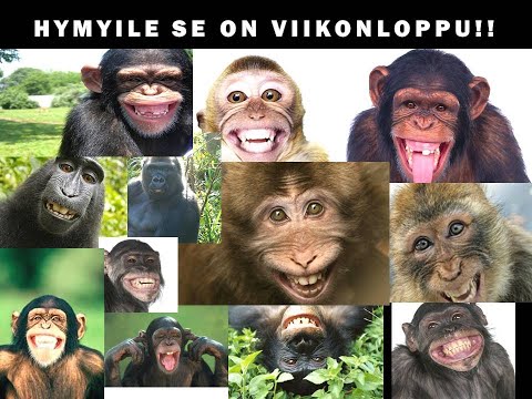 Lauantaista myöhäis iltaa