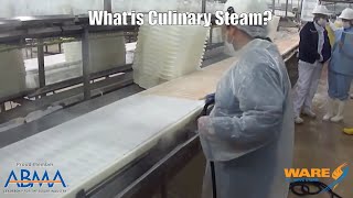 Cooking and Cleaning with Culinary Steam - Steam Culture