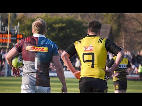 Melrose 7s 2017 in Photographs