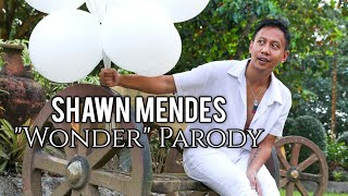 'Covid-Proof' SHAWN MENDES Wonder | PARODY