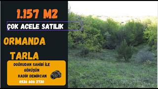 Çok Acele 1.157 M2  Orman İçinde  Kafa Dinlenecek Tarla Sahibi:0536606