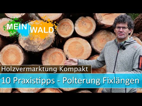 🪵🌲Das mußt du bei der Polterung von Fixlängen beachten