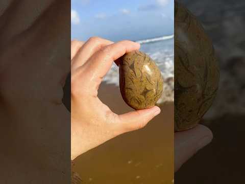 pebble#seatreasures  #beachlife #nature #nature #beachcombing #pebble