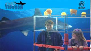 DIA 2 Expo Tiburon92