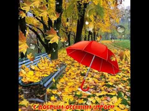 С добрым осенним утром!