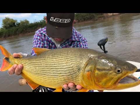 Pesca Golden Dorado 1 de 2 River Cruiser Rio Parana Aguas Arriba ESPN Latinoamérica T:12 E: 21 2019