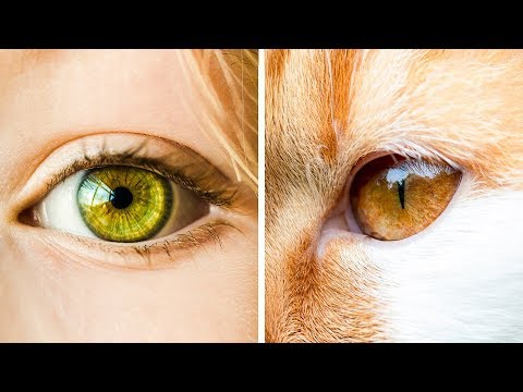 27 Random Facts You Haven't Heard a Million Times