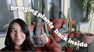 PLANT CHORES | bringing houseplants back inside because its coldddd
