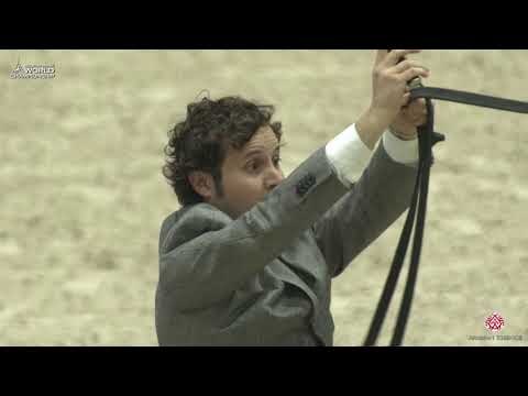 N 10 MONA LISA ALJASSIMYA   Paris 2019   Yearling Fillies Class 1A