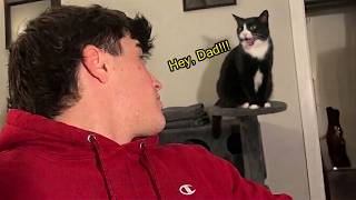 Cat Actually Can’t Stop Talking To His Owner! 🤣 Funny Cat Videos