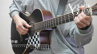 Acoustic Guitar Magazine Vol.95