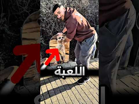 طلع أن هاي اللعبة شريرة فعلا مع أنها مرة مشهورة !! 😨 #youtubeshorts