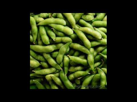 Hornsman Coyote meets Ras Muffet/One way to Ras