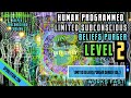 ★Human Programmed: Limited Subconscious Beliefs Purger - Level 2★ (Remove Subconscious Beliefs)
