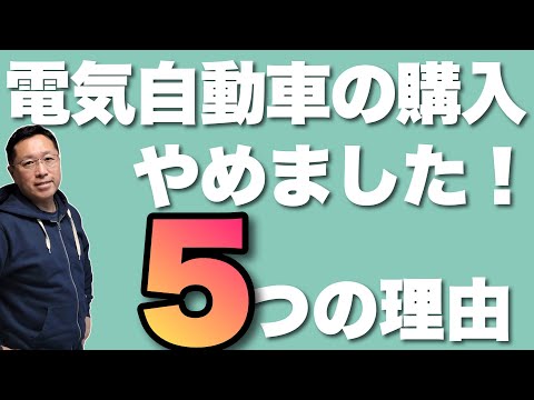 「可能性はありません」: どのタイプの電気自動車もすぐに避けるべきです