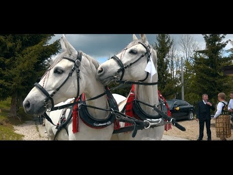 Karolina i Marek - wesele góralskie / skrót