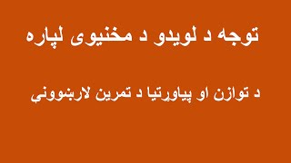 توجه د لویدو د مخنیوی لپاره