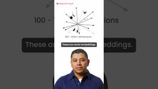 Semantic Search Starts With Embeddings