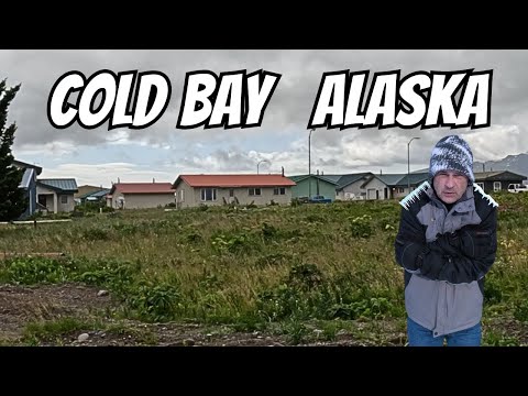 I Moved To Remote Alaska???