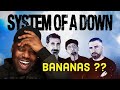 System Of A Down Vicinity Of Obscenity Reaction