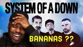 System Of A Down - Vicinity of Obscenity Reaction