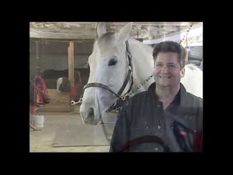 2013 CHRHF Standardbred Inductee Admirals Express