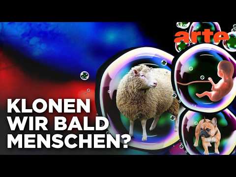 Video Thumbnail: Dollys Erbe - Zwischen Heilung und Hybris | Doku HD | ARTE
