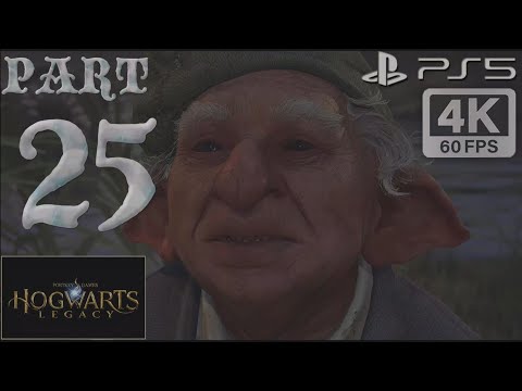 HOGWARTS LEGACY PS5 Walkthrough Gameplay Part 25 (FULL GAME)