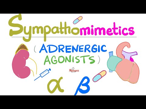 Sympathomimetics (Adrenergic Agonists)—Epinephrine, Norepinephrine - Alpha & Beta Receptors