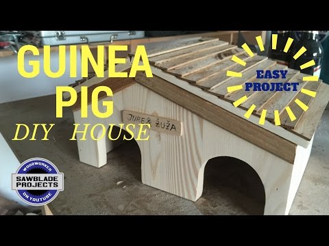 GUINEA PIG HOUSE - Make your own DIY version