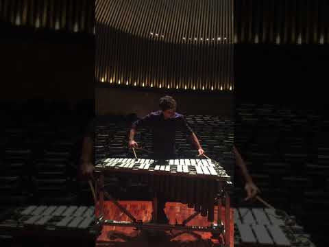 I. Prelude for vibraphone - Ney Rosauro (HD available)
