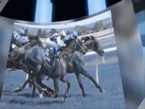 INVASOR- 2006 UAE Derby (UAE) (G2, Nad Al Sheba) (4th)