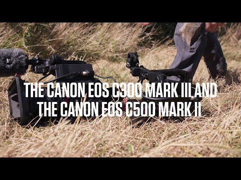 The Canon EOS C500 Mark II and the Canon EOS C300 Mark III