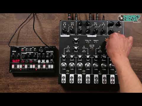 SOMA Laboratory Lyra-8 Organismic Drone Synth (Black) image 6