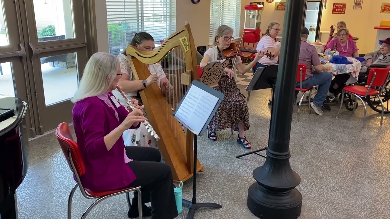 Promotional video thumbnail 3 for Cheryl Grohn Harp & Piano